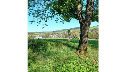 Holiday home with 8 bedrooms - Foto 3, Other