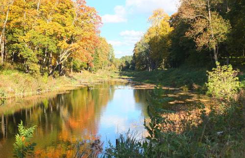 Dwór Klewiny - Foto 24