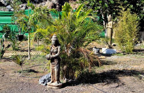 FINCA BEROLO 1 - Foto 30