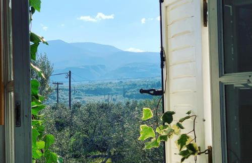 Anastasios Olive Garden Apartments - Foto 14