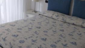 Michelangelo rta - Foto 2