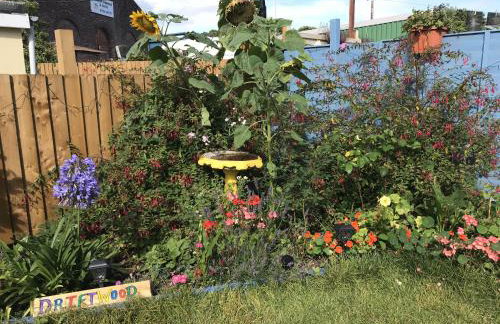 Driftwood Seagrass - Photo 32