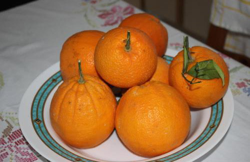 Villa Sofia Filoxenia - Photo 9