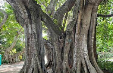 Classic Floridian Oasis w/Pool - Foto 42