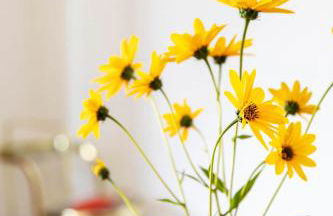 La Casina del Salice - Foto 57