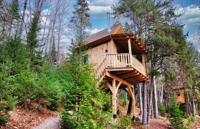 Les Chalets du Trappeur - Photo 22