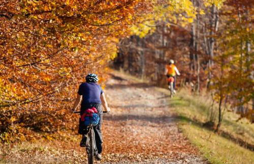 Gîte de l'Alisier - Rambouillet - - Foto 30