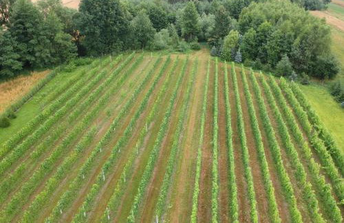 Agroturystyka ROGALA - Foto 3