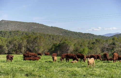 Mas El Brugué - Foto 40
