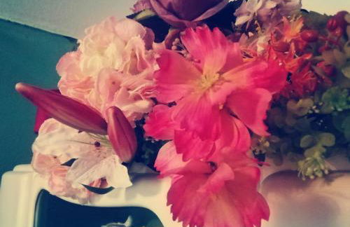 FeWo Unner'd Kastanje - Foto 5