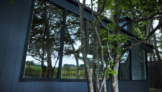 SONEKA - Foto 2, Recepción