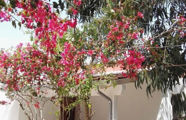 Villetta Immersa nel Verde Torre Guaceto - Foto 10