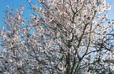 Casa La Veguetilla en San Mateo - Foto 44