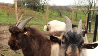 Galactic getaways JUPITER - Photo 2