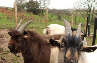 Galactic getaways JUPITER - Foto 2