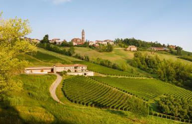 iCOLLIROSSI Agriturismo - Foto 30