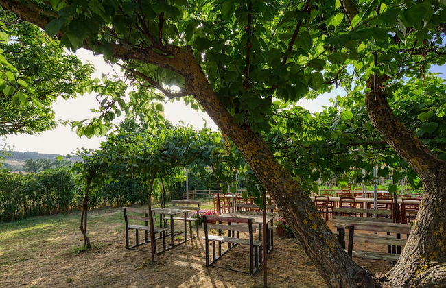 La Casa di Campagna - Foto 57