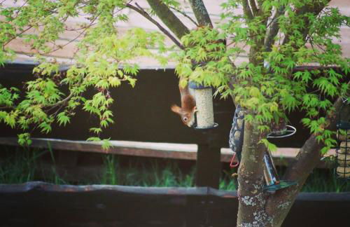 Ferienwohnung Sägemühle - Foto 38