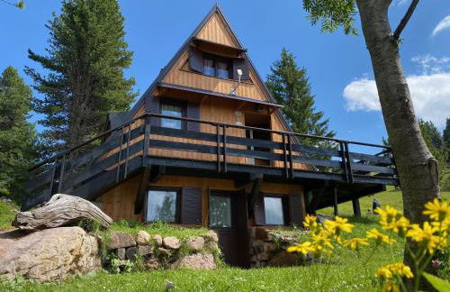 Chalet Paoletta - Alpe Cermis - Foto 2