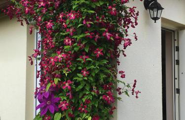 Dom letni Słoneczny Taras - Foto 30