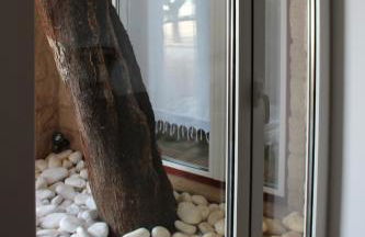 Aromas dos Salgueiros - Foto 20