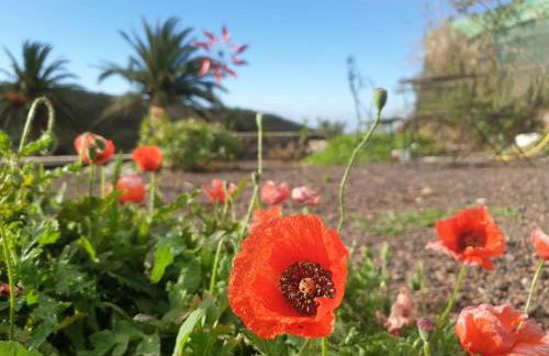 Casa Tara Ruhe und Entspannung, Natur pur - Foto 7