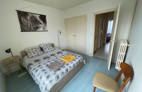 Appartement à 2km du circuit, proche tram, accès direct du circuit en tram en 5 mn - Foto 7