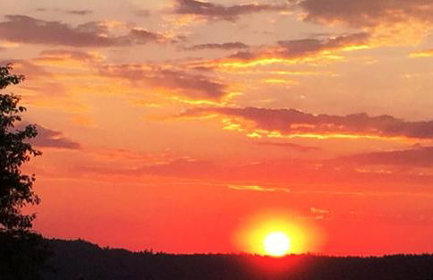 Familie Sattler - Foto 33