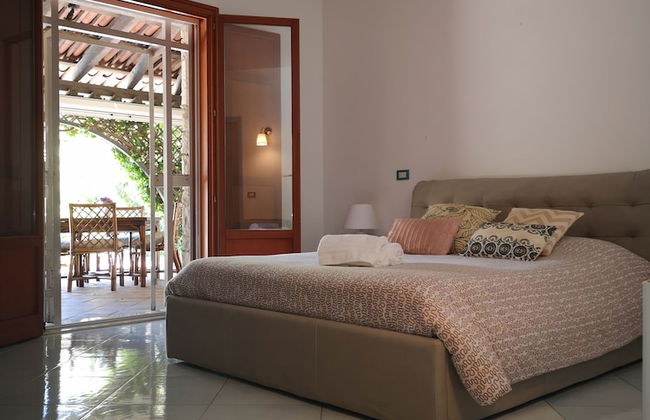 All'ombra del palmeto - Foto 58