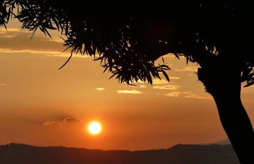 Apartment FeWo C-30 by Interhome - Foto 47