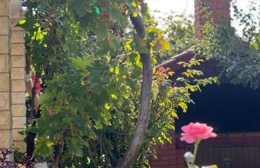 Apartments with parking space Vlasici - Pag - 4139 - Foto 8