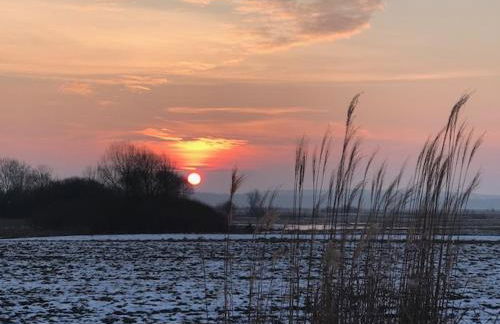 Ankerplatz direkt am Altmühlsee bei Juliane und Klaus - Foto 20