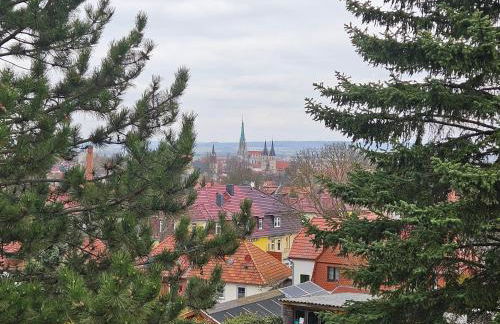 Baumhaus und Tinyhaus - Foto 80