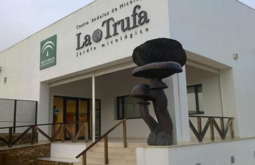 vivienda turistica Fuente Zagrilla II - Foto 14