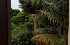 La Casita de la Vega - Foto 22