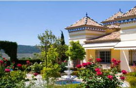 Andalusian experience - Foto 15