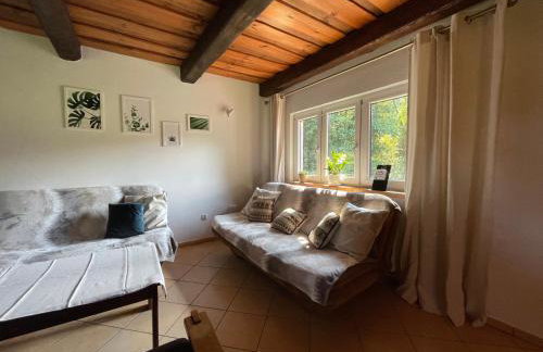 Domki nad strumykiem - Foto 4