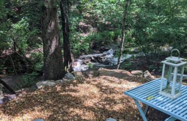 Cricket by the Creek - Creek, Gym, Trails, Kayaks - Foto 16