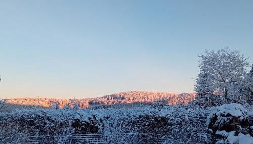 Fewo NATURgeTREU - Foto 2