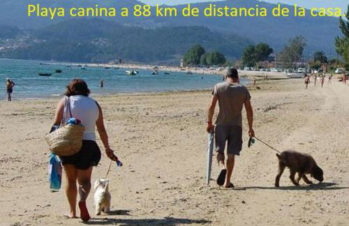 CASA MARGARITAS - Foto 21