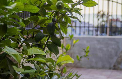 Apartman Casa Di Anna - Photo 10