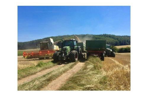 Boswachtershuis Goed Malberg - Foto 9