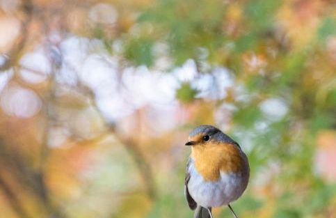 Spacious cozy apartment with easy and free parking - Foto 24