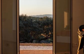 Vagar do Pastor - Foto 64