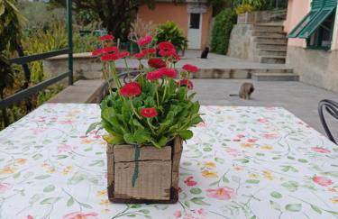 CA DU STEA - Foto 51