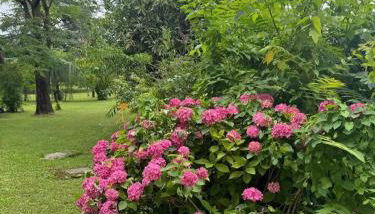 VeronaVera Residenza VillaMarianna - Foto 4