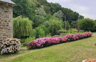 Belle maison entièrement rénovée avec jardin, WIFI, à 400m de la mer à ST QUAY-PERROS - Ref 871 - Foto 17