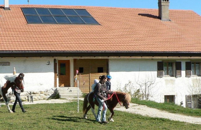 Maison de vacances - Les Hirondelles - Foto 10