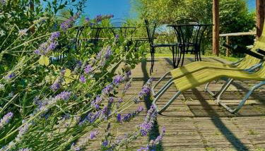 Agriturismo Colleverde Capalbio - Foto 4