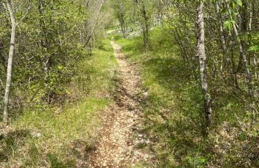 Apartment Lucie - Foto 47